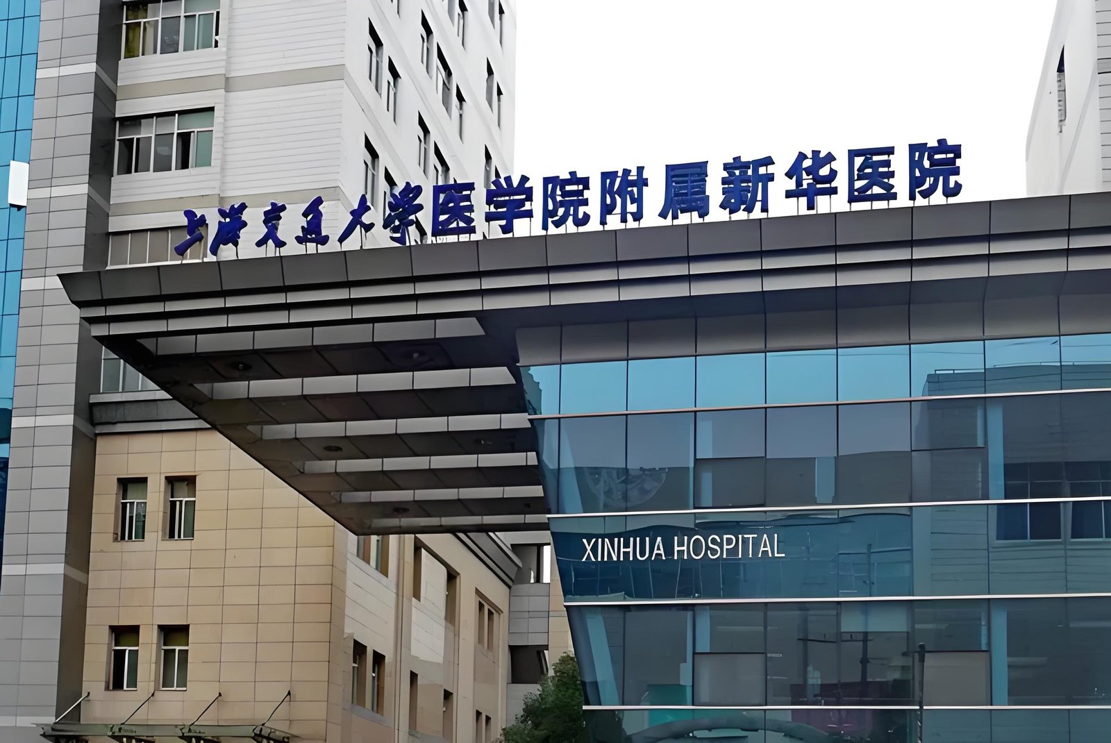 Hospital Introduction & Medical Care Guide 1 Building