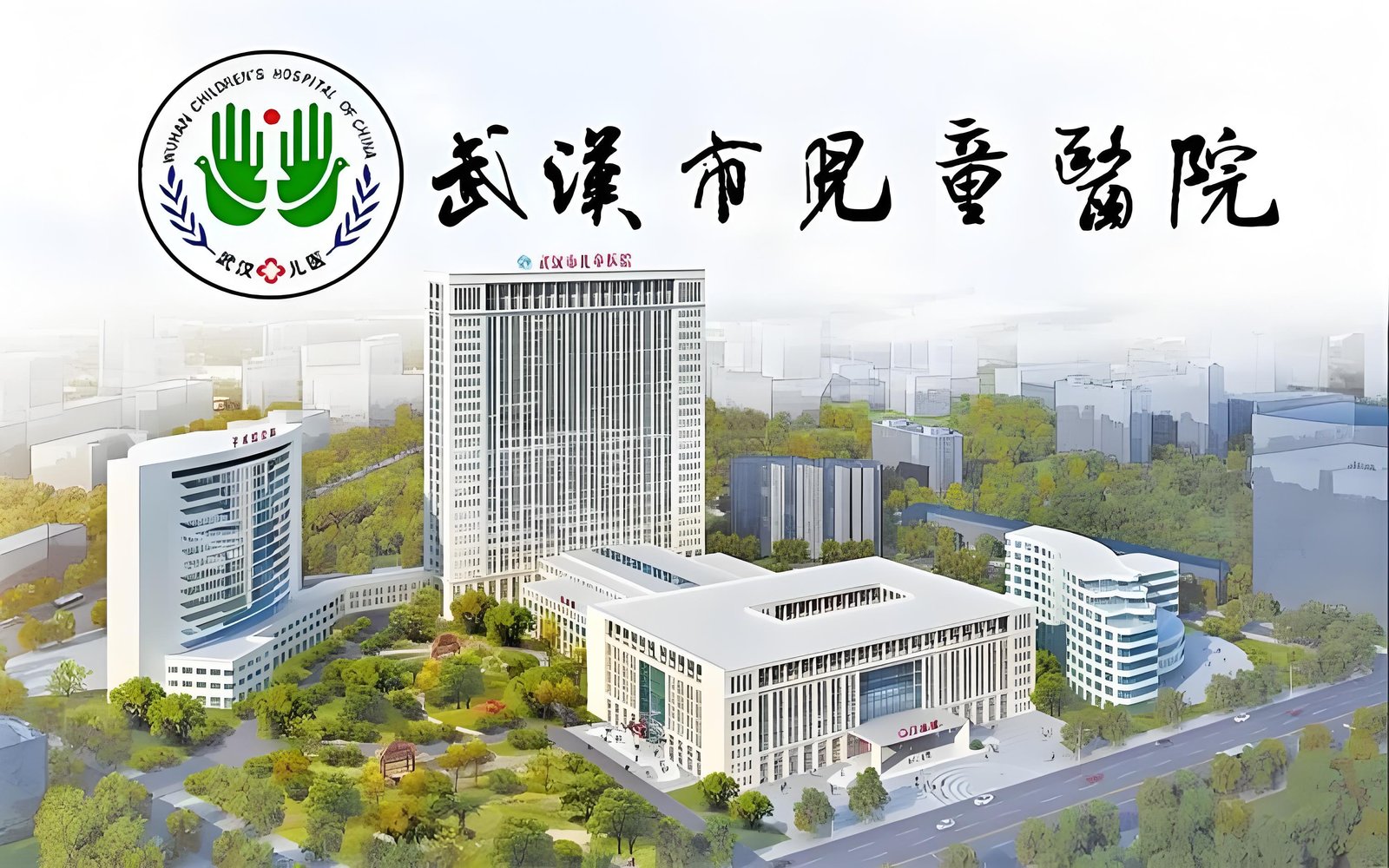 Hospital Introduction & Medical Care Guide 1 Building