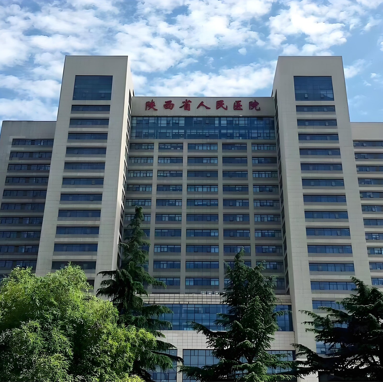 Hospital Introduction & Medical Care Guide 1 Building