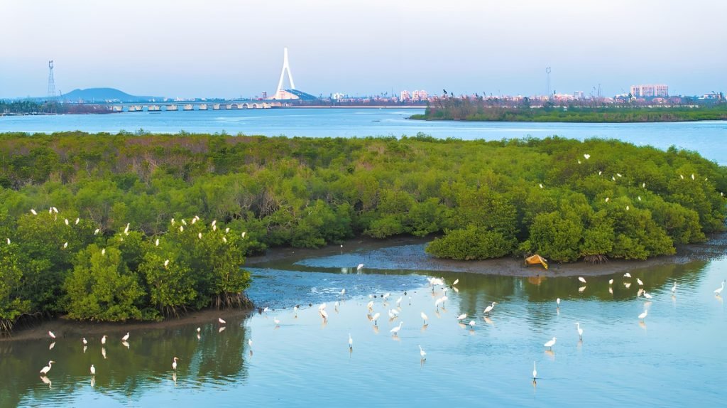 Haikou Medical Tourism: A City Where Medical Rehabilitation Meets Tropical Charm 20 dsgzrbhq