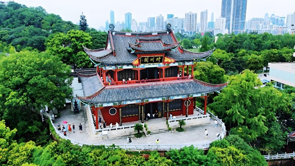 Wuhan Medical Tourism: A Charming City of Healthcare and Tourism 17 qcg