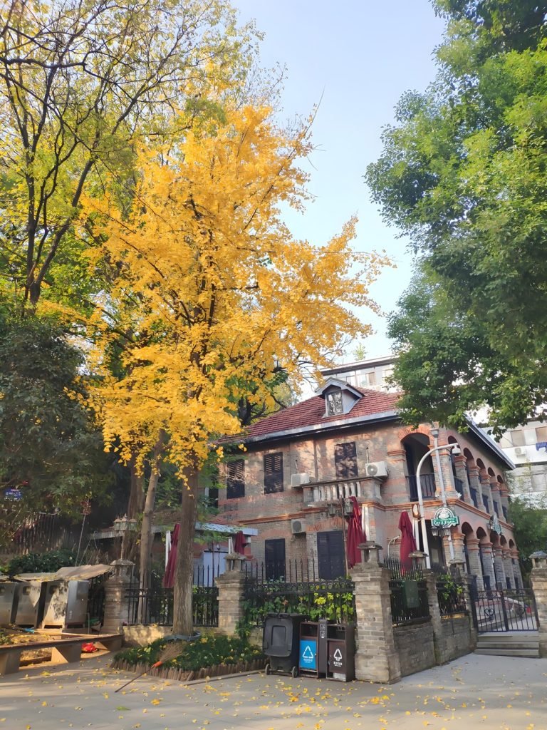 Wuhan Medical Tourism: A Charming City of Healthcare and Tourism 22 thl 2